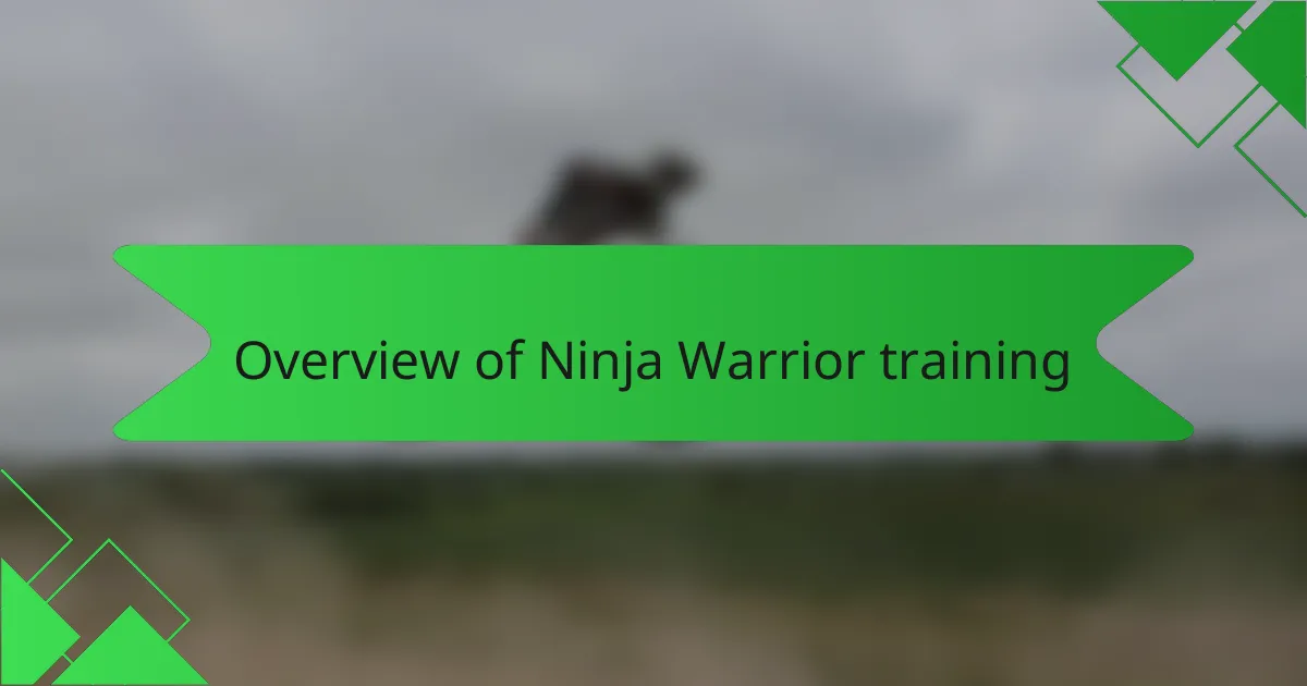 Overview of Ninja Warrior training