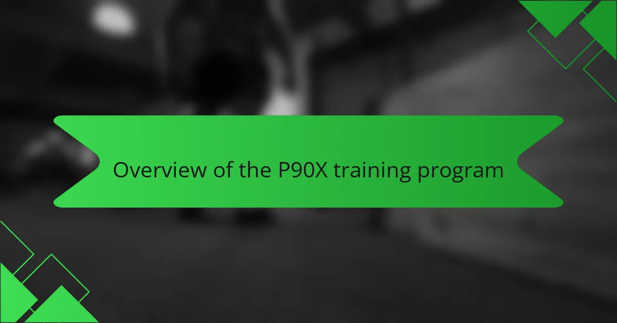 Overview of the P90X training program